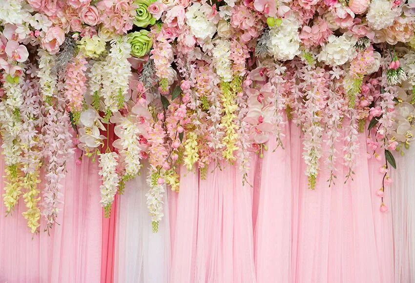Backdrop
