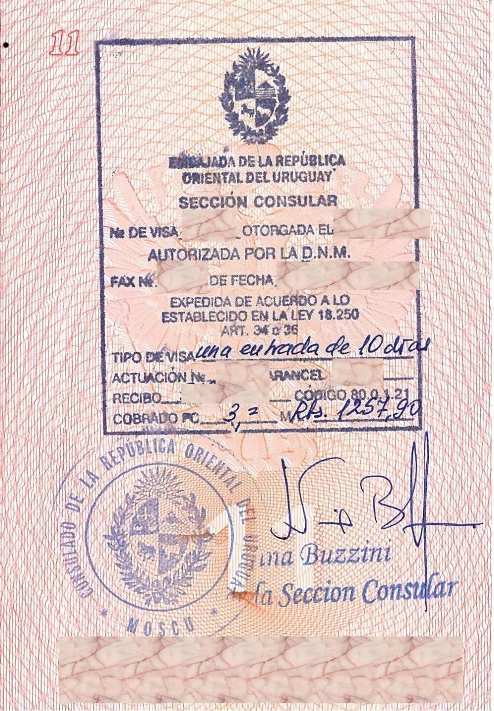 Перу виза. Виза парагвай. Парагвай нужна виза. Пмж парагвай. Виза в малайзию.