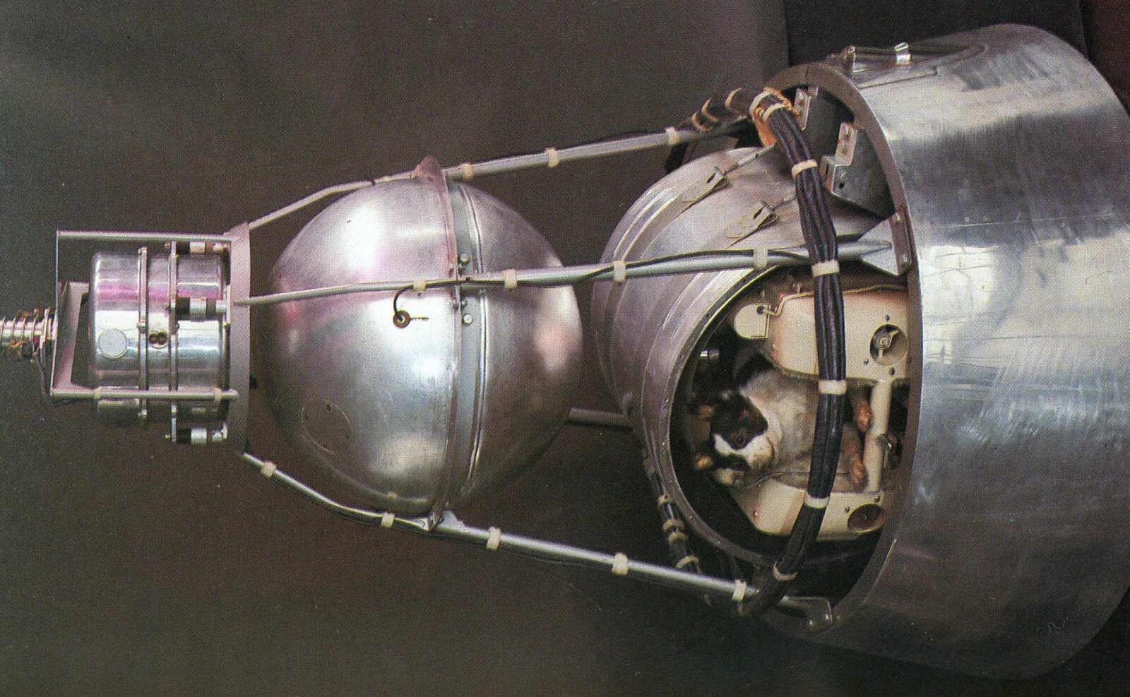 Первого спутника 15. Спутник-2 космический аппарат с лайкой. Спутник-2 космический аппарат 1957. Спутник 2 СССР. Собака лайка на спутнике 2.