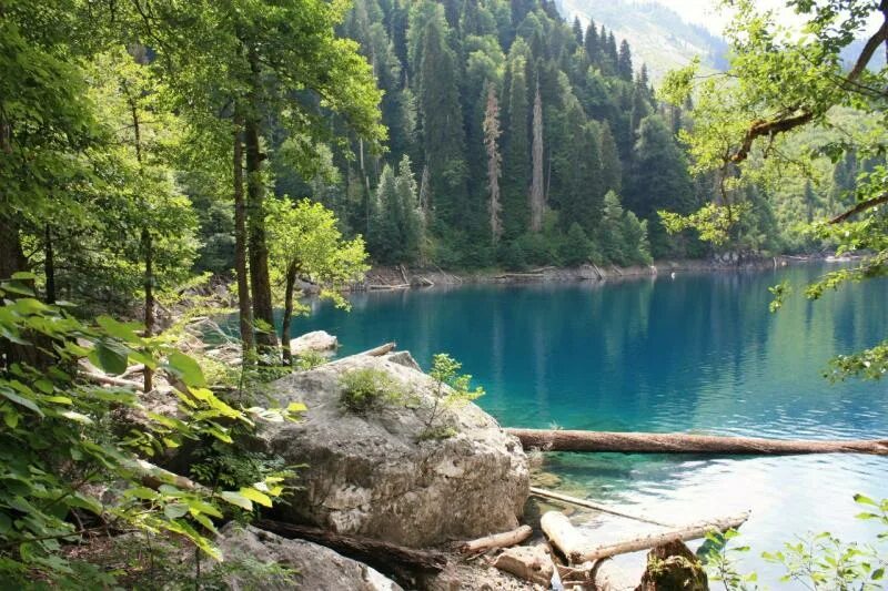 Озеро малая рица абхазия. Озеро рица абхазия экскурсия. Озеро большая рица абхазия. Малая рица абхазия. Озеро рица с верхней.