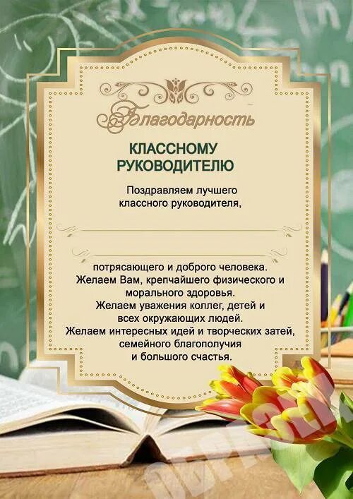 Слова учителей 9 классами. Благодарность классному руководителю. Благодарность классному руководителю от родителей. Благодарностььклассному руководителю. Благодарность учителю классному руководителю от выпускников 9 класса.