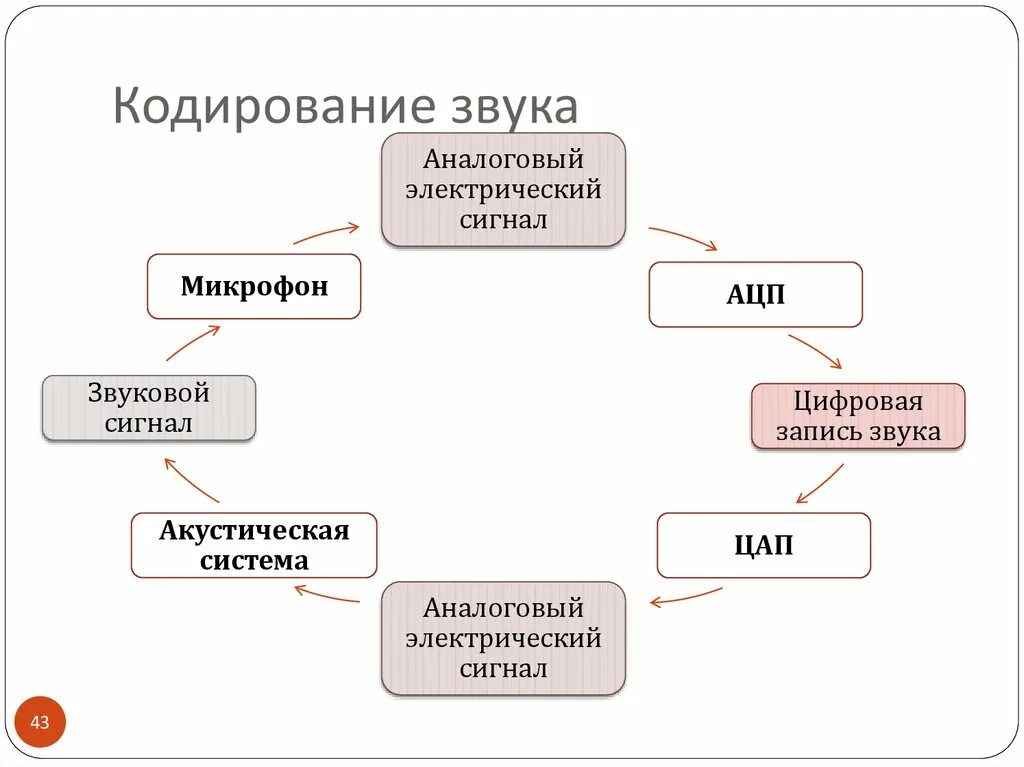 Методы кодирования звука. Кодирование информации схема. Кодирование информации звук. Схема методы кодирования информации.