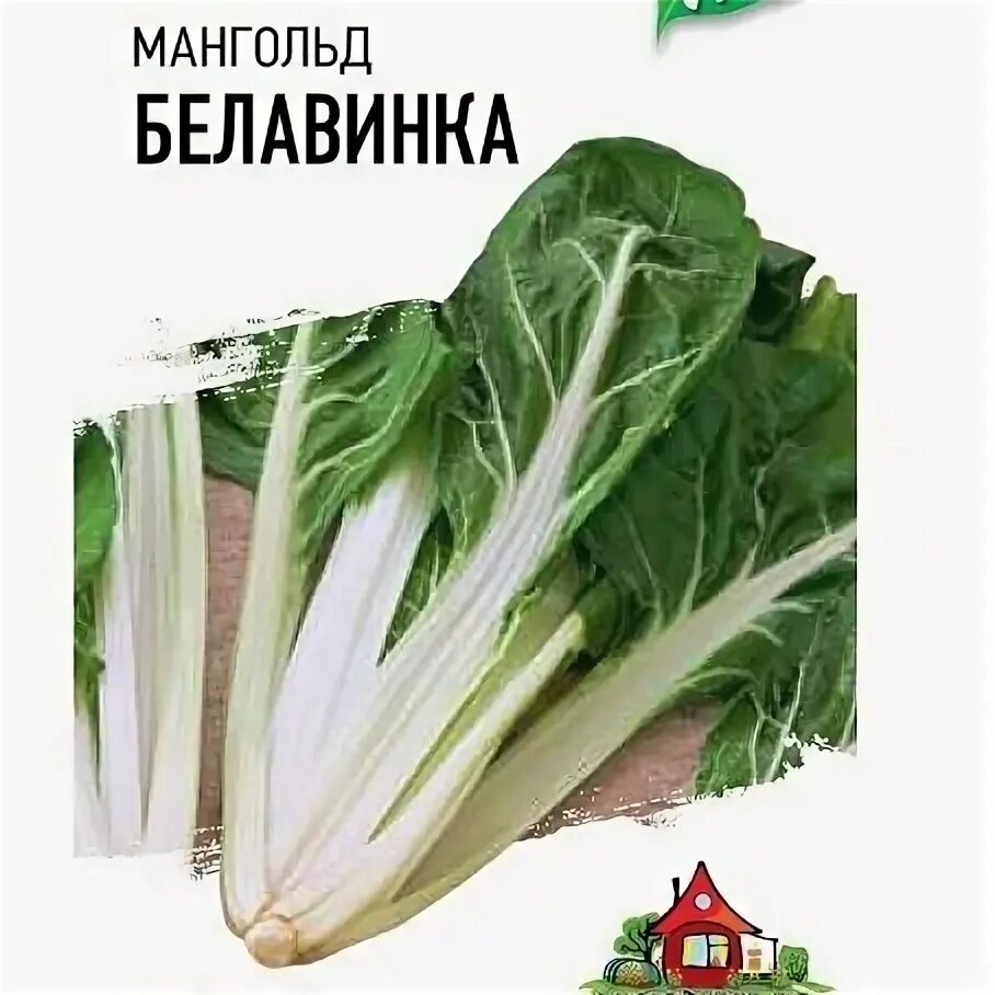 Мангольд белавинка фото. Мангольд белавинка 2,0г гавриш хит х3. Мангольд белавинка. Мангольд белавинка фото. Мангольд невеста.