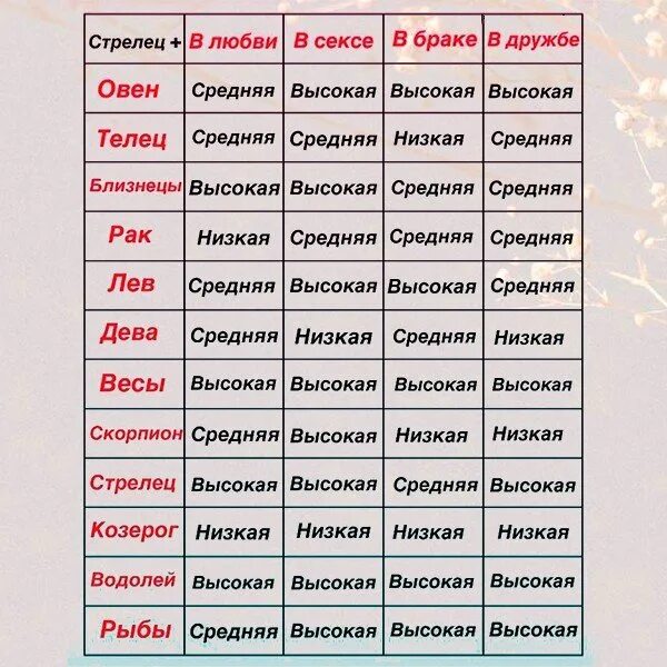 Совместимость Стрельцов. Совместимость знаков Стрелец. Женщина Стрелец совместимость. Стрелец и Близнецы совместимость.