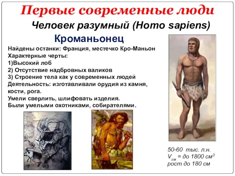 Человек современного анатомического типа. Кроманьонец ( homo sapiens). кроманьонец неандерталец сапиенс сапиенс. современный человек характеристика.
