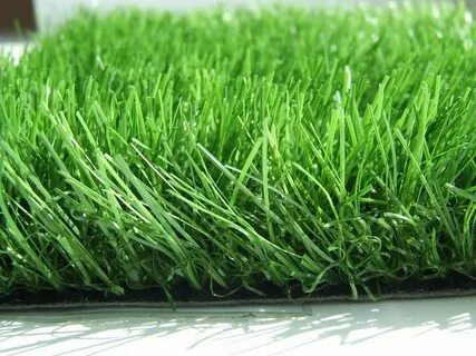 Grass like