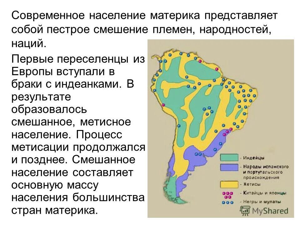 Население смешанных лесов народы