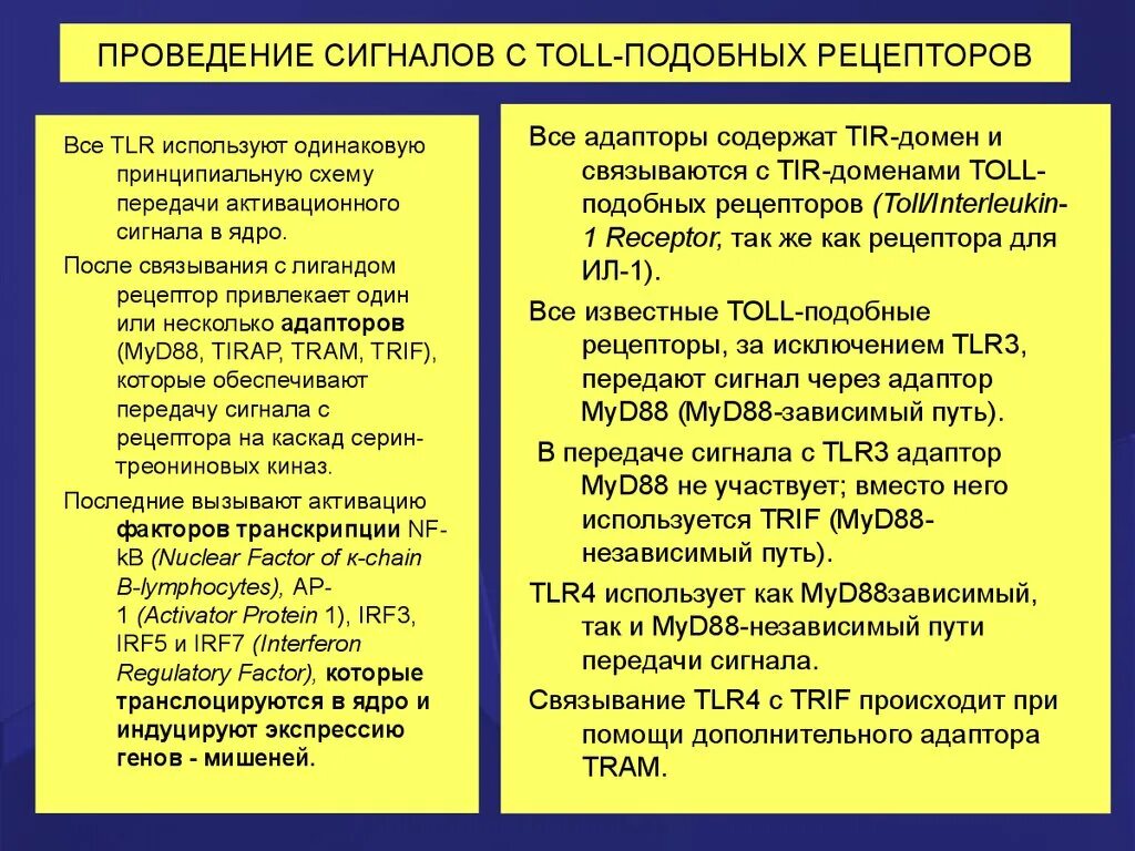 Зависимые пути. Пути передачи сигналов с рецепторов врожденного иммунитета. Рецепторы врожденного и приобретенного иммунитета. Основные рецепторы врожденного иммунитета. Рецепторы клеток врожденного иммунитета.