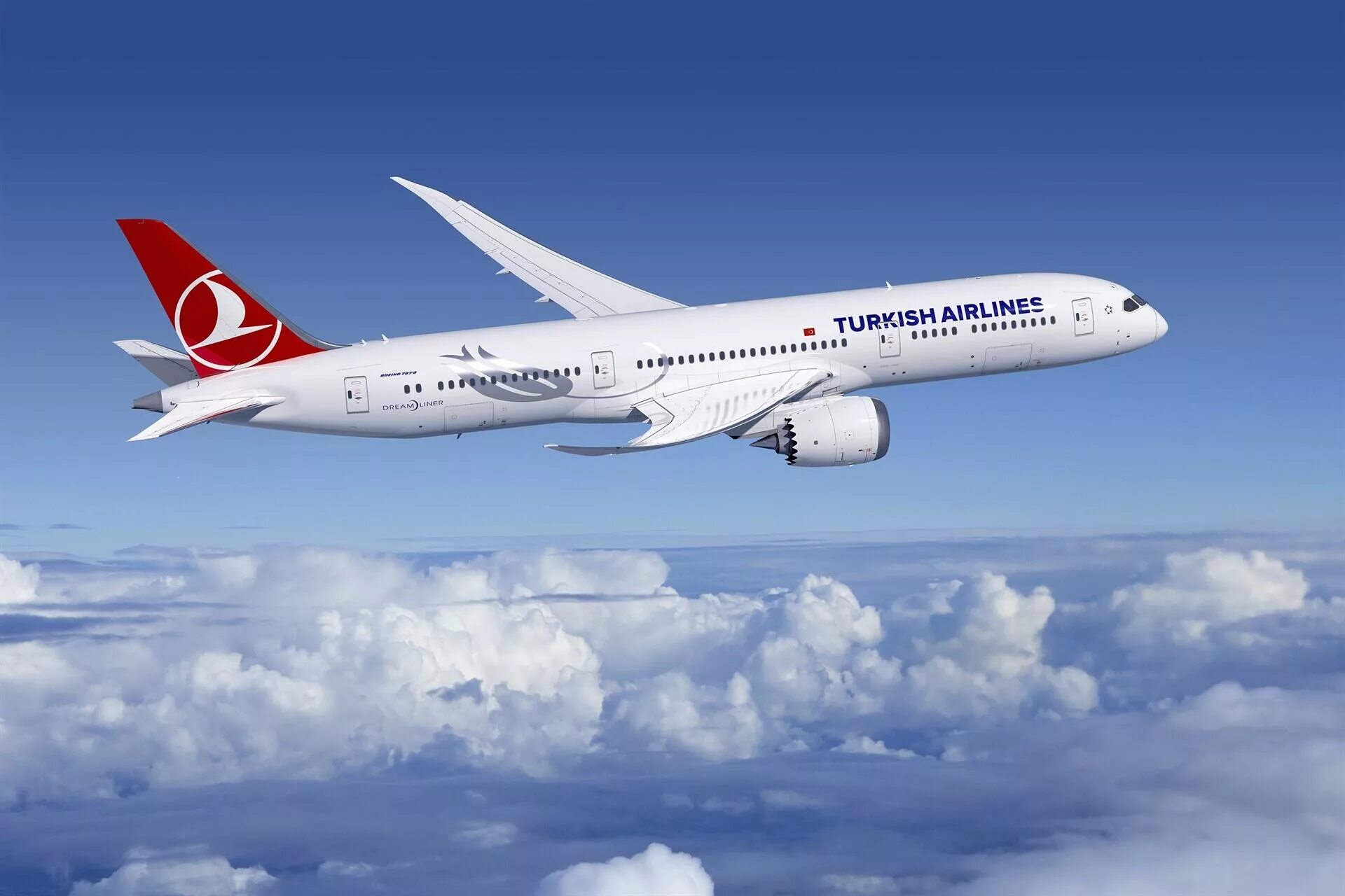 Турецкие авиалинии самолеты. Turkish airlines авиакомпании турции. Southwind airlines авиакомпании турции. Боинг 787 туркиш эйрлайнс. Турция эйрлайнс.