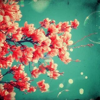 Destroy spring