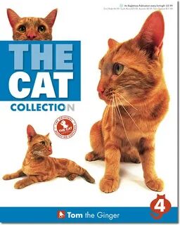 The cat collection