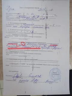 Получить протокол вскрытия