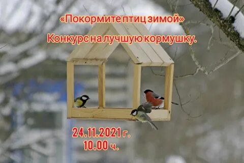 Птиц зимой конкурс