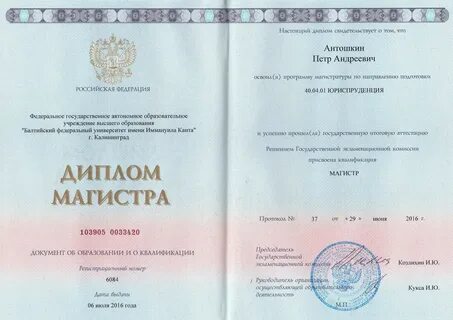 Бакалавр по направлению