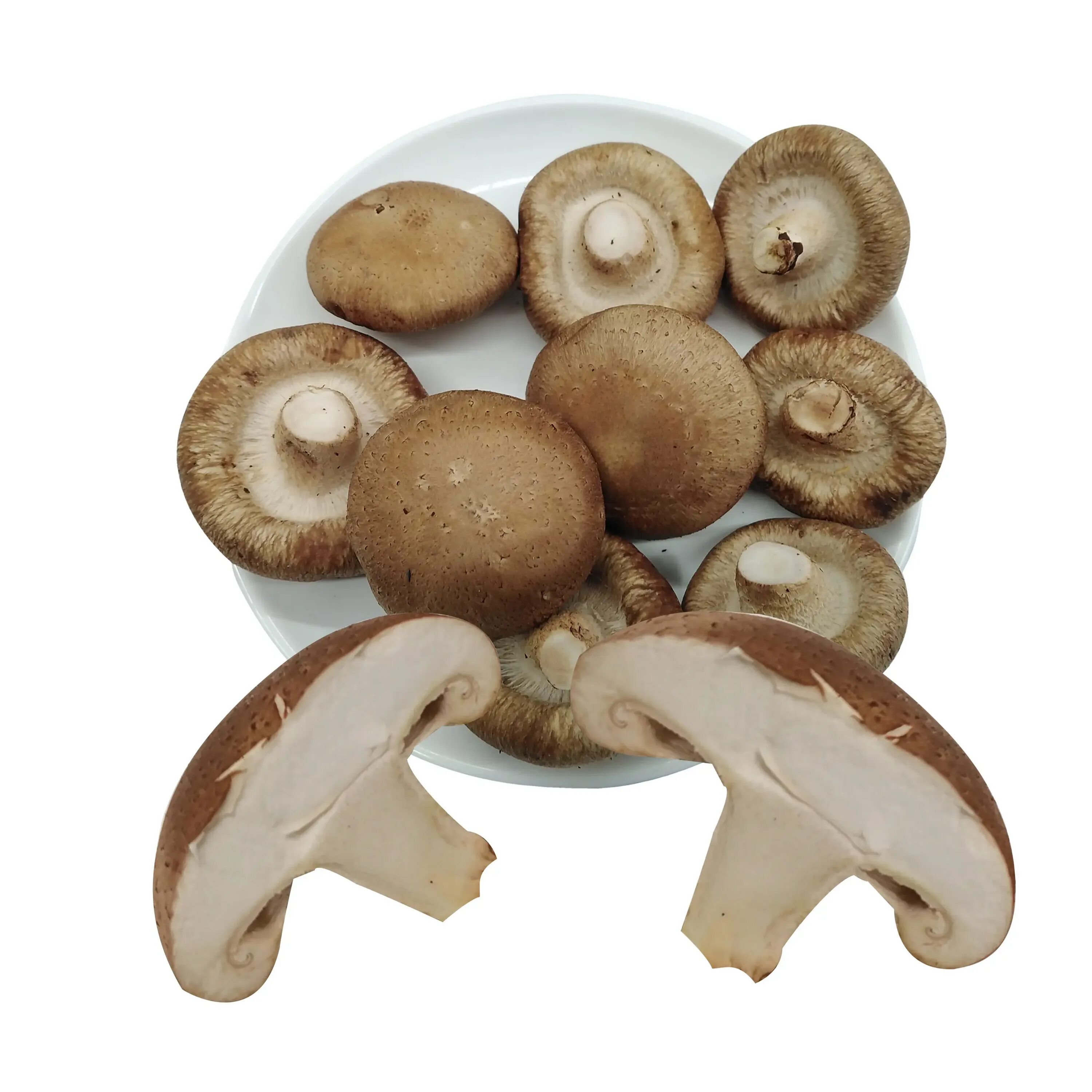 Шиитаке свежие. Корейские грибы шиитаке. Китайские грибы шитаки. Древесные грибы китайские шиитаке. Гриб коралловый шитаки.