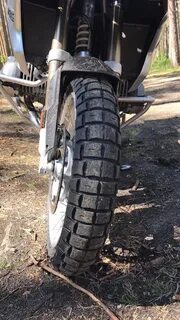 Scorpion rally