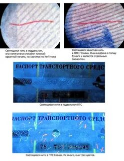 Проверить подлинность автомобиля