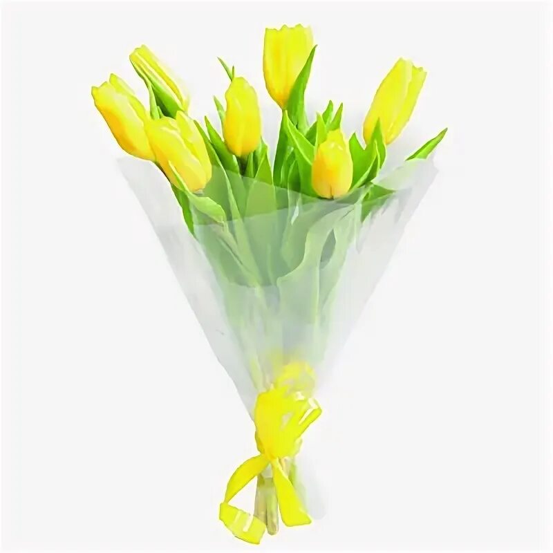 Упаковка тюльпанов в пленку. Букет из тюльпанов в прозрачной упаковке. Букет тюльпанов 51шт микс. Букет из тюльпанов в прозрачной упаковке. Тюльпаны в прозрачной упаковке.