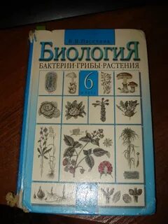 Русский 7 класс старые учебники