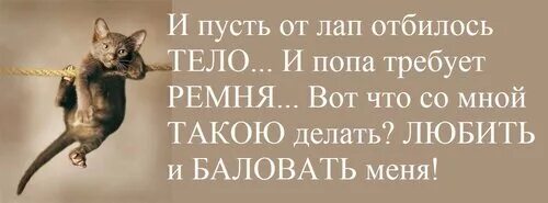 Форум делай что любишь. Сколько бы тебе не стукнуло отбивайся. И пусть от лап отбилось тело. Совсем от рук отбилась. Сколько бы тебе не стукнуло отбивайся картинки.