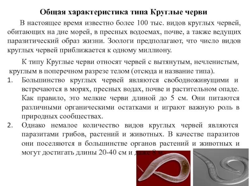 Заполните таблицу характеристика типа круглые черви