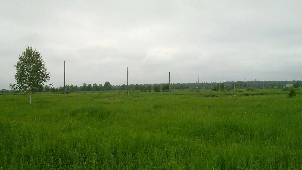 Снт дачное. Снт источник. Садовое общество. Садовое некоммерческое товарищество снт. Снт источник 2 тюмень.