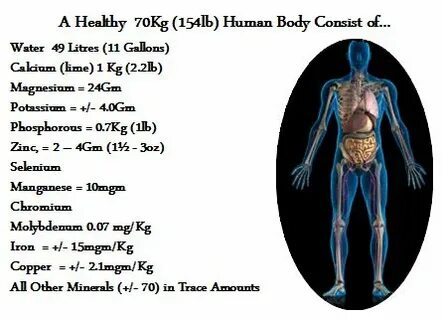 What parts does the body consist of