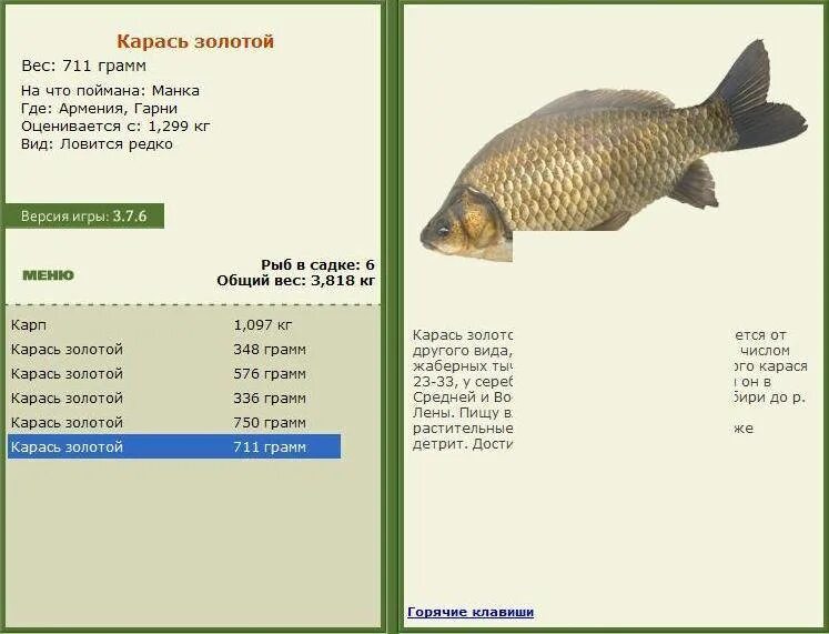 Размер килограммового карася. Караси размеры. Караси размеры. Карась больших размеров. Карась вес.