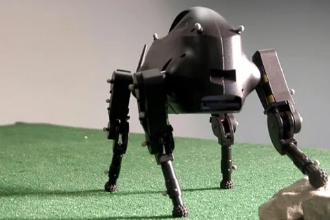 Legged robots
