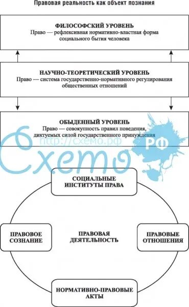 Юридическая реальность. Структура правовой реальности. Элементы правовой реальности. Структура правовой действительности. Правовая реальность и правовая действительность.