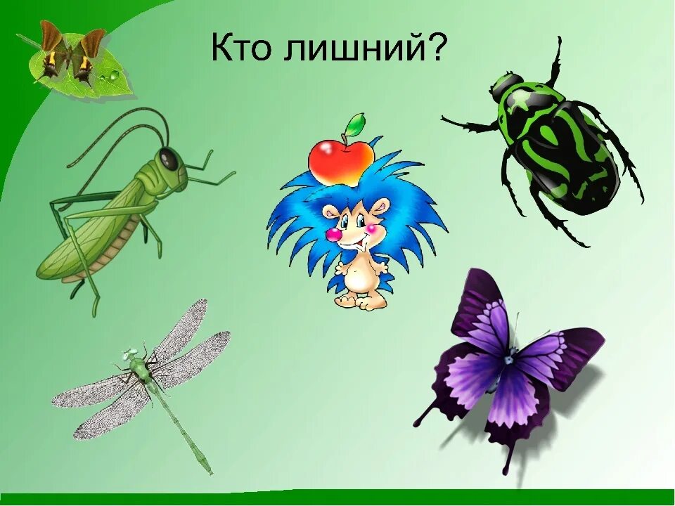 Насекомые для ДОШКОЛЬНИКЛ. Тема насекомые для дошкольников. Насекомые рисунок. Изображение насекомых для детей.