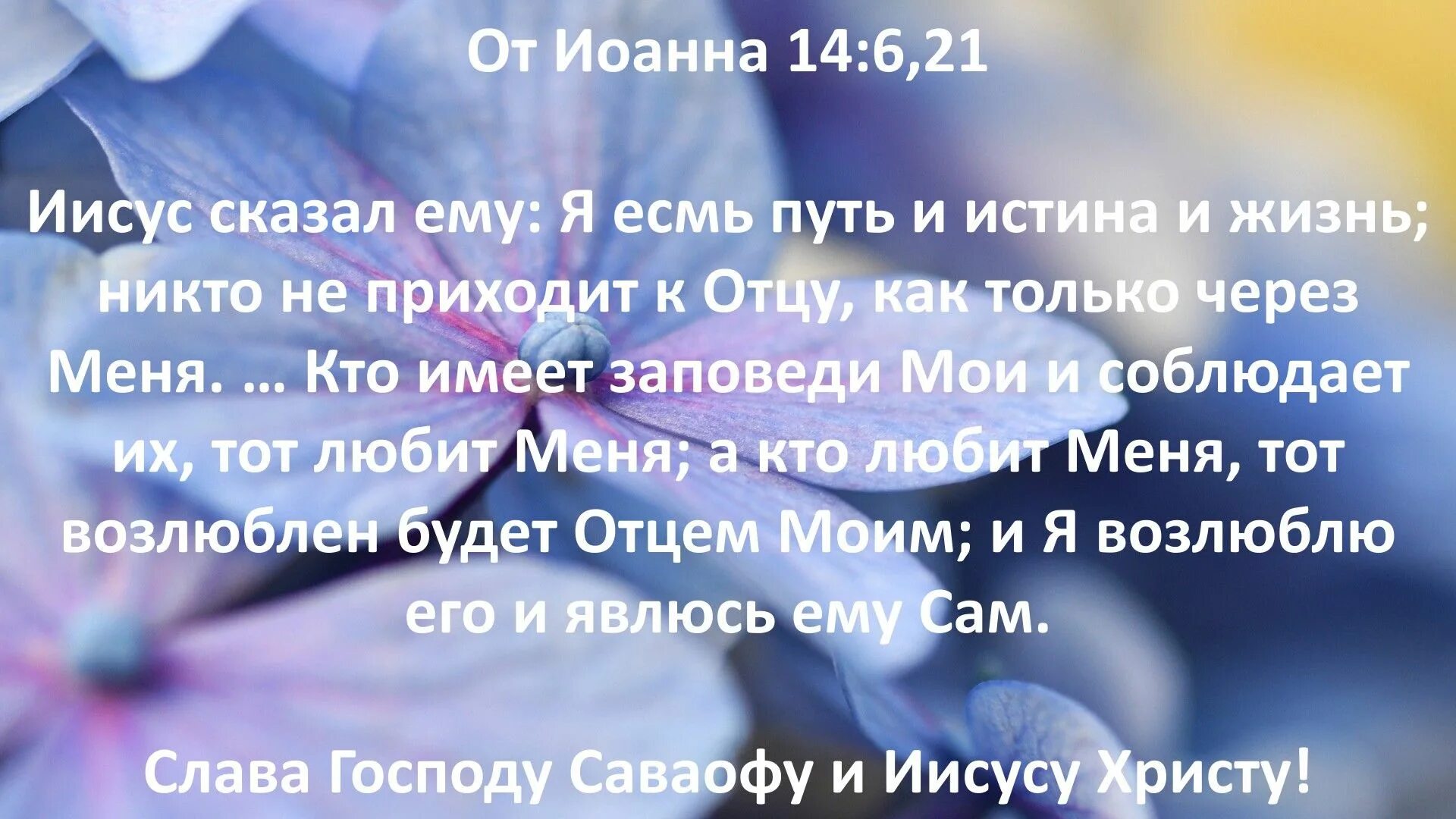 Я есмь истина и жизнь. Библейские стихи. Текст из Библии. Библия стихи. Я есмь путь и истина и жизнь Библия.