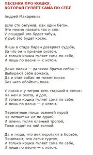 Слова песен про кота