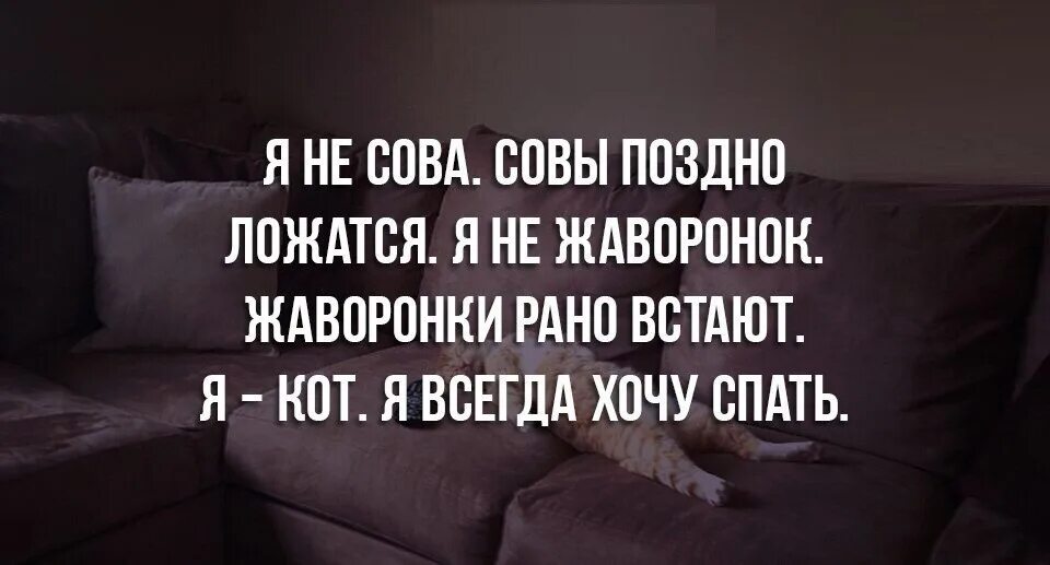 Очень поздно ложусь спать. Я ложусь спать поздно. Ложусь спать рано встаю поздно. Поздно ложусь и поздно встаю. Сова поздно ложится и поздно.