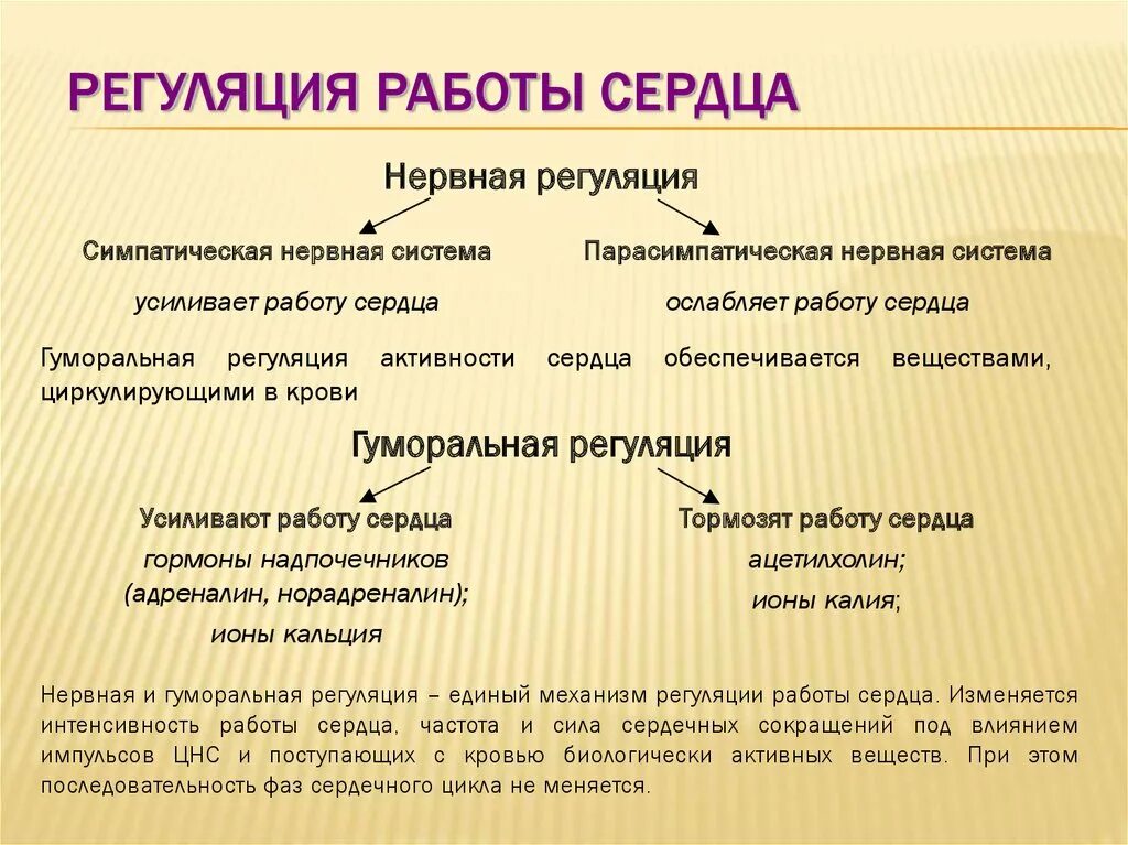 Гуморальная регуляция работы сердца осуществляется. Регуляция деятельности сердечно-сосудистой системы таблица. Гуморальная регуляция деятельности сердца таблица. Регуляция работы сердца. Регуляция нервной деятельности.