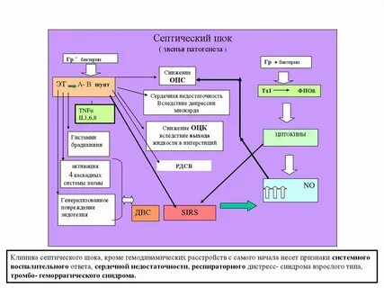 Компенсация септического шока