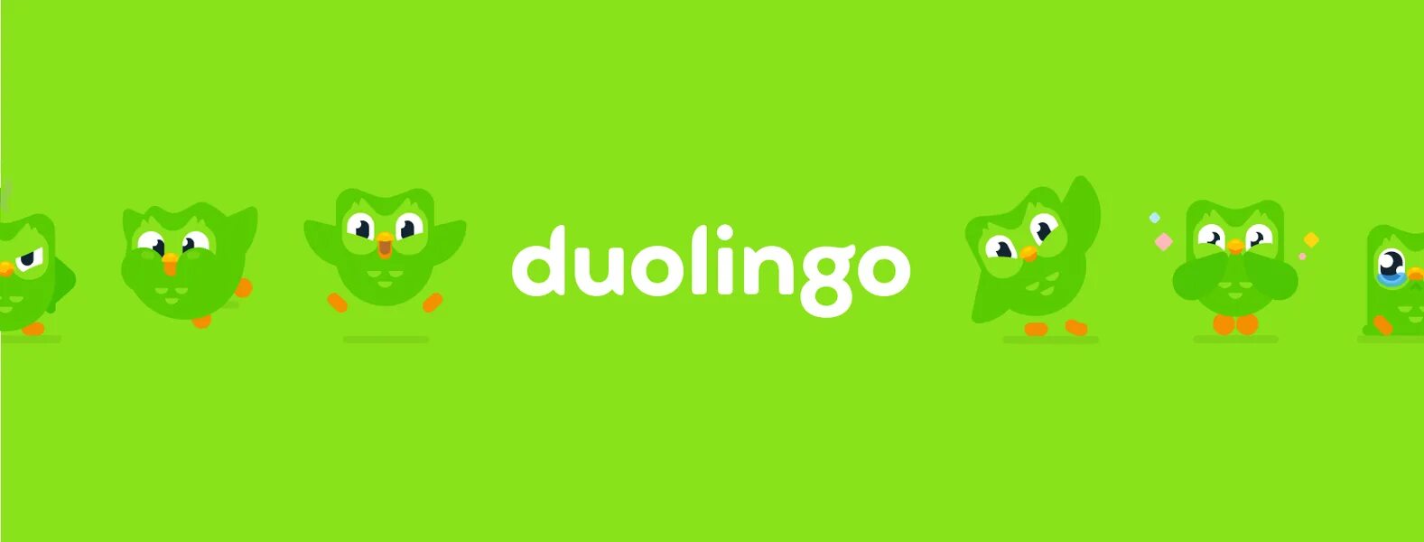 Сайт английского duolingo. Дуолинго. Duolingo Сова. Дуолинго логотип. Duolingo.com английский.