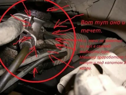 Где находится гуру