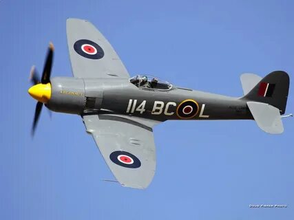 Sea fury