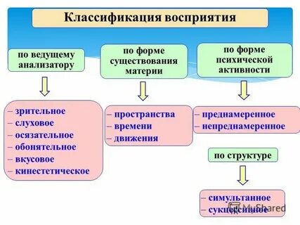 Восприятие 2 6