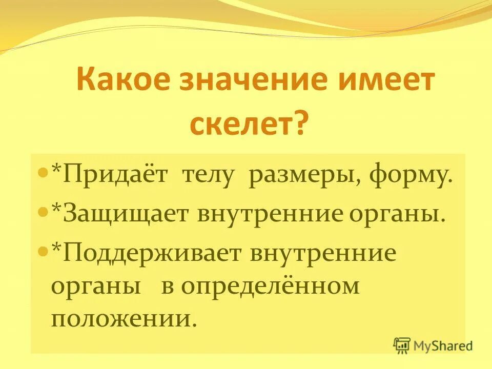 Значение. Какое значение имеет скелет человека. Какое значение для организма имеет скелет. Какое значение имеет. Какое значение.