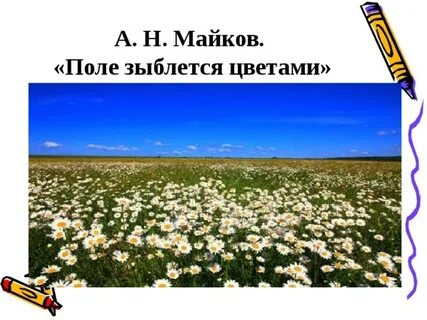 Майков поле