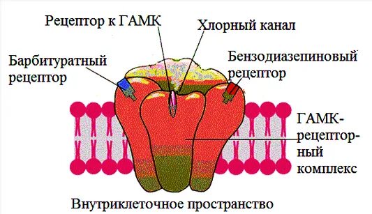 Снотворные механизм действия. Механизм действия снотворных. Механизм действия снотворных средств. Седативные препараты механизм действия. Механизм действия седативных средств схема.