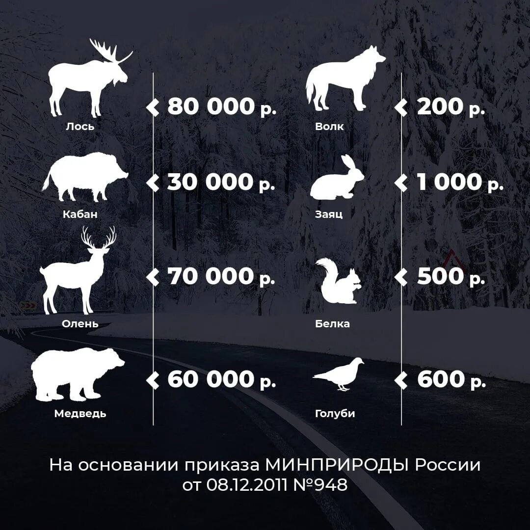 Штраф за сбитых животных на дороге таблица. Таблица штрафа за сбитого животного. Штраф за сбитых животных на дороге таблица. Штраф за сбитых животных на дороге таблица. Штраф за сбитых животных на дороге таблица.