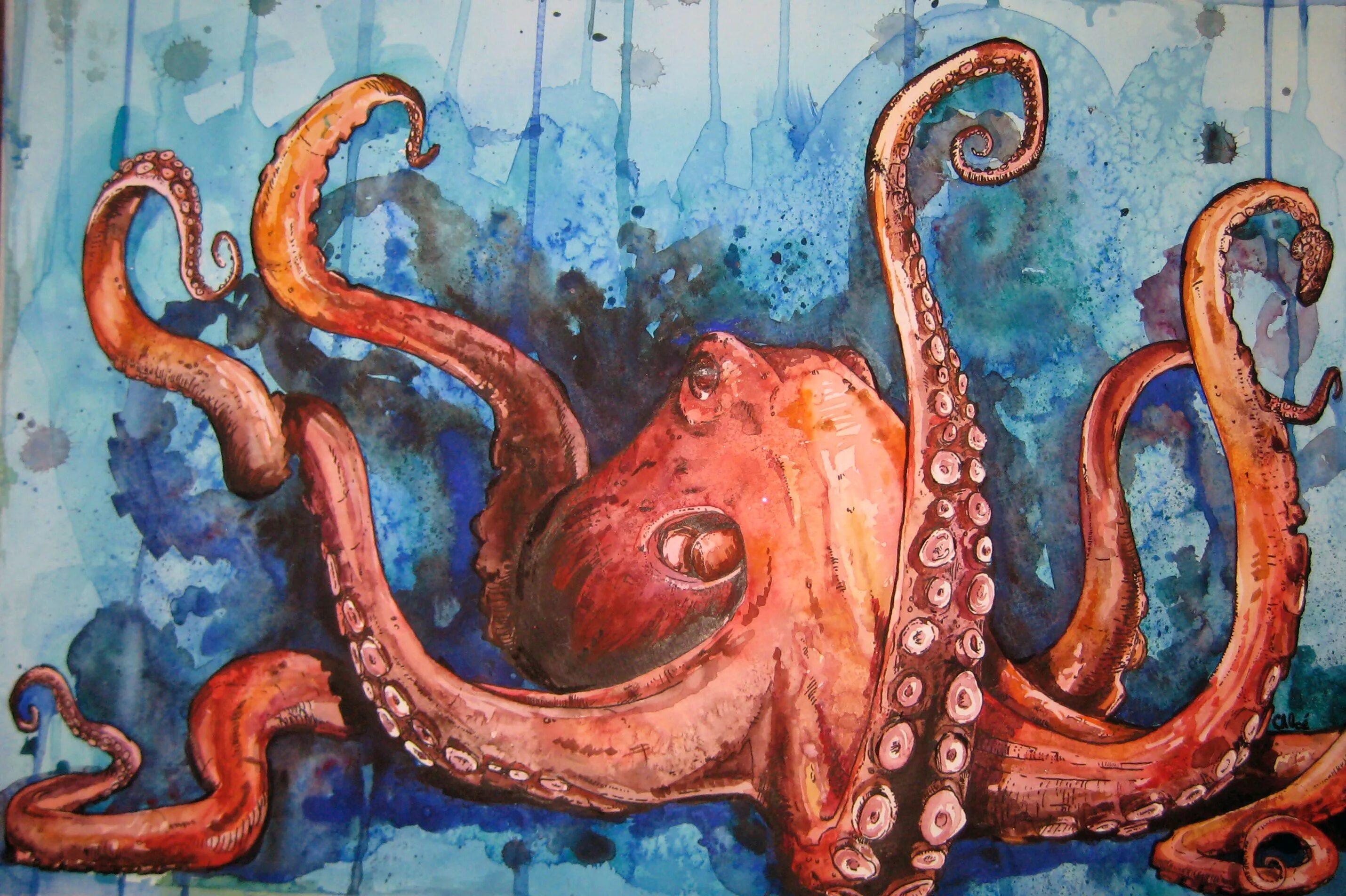 Картина Кевина Слоана осьминог. Осьминог арт. Спрут осьминог. Щупальца осьминога.