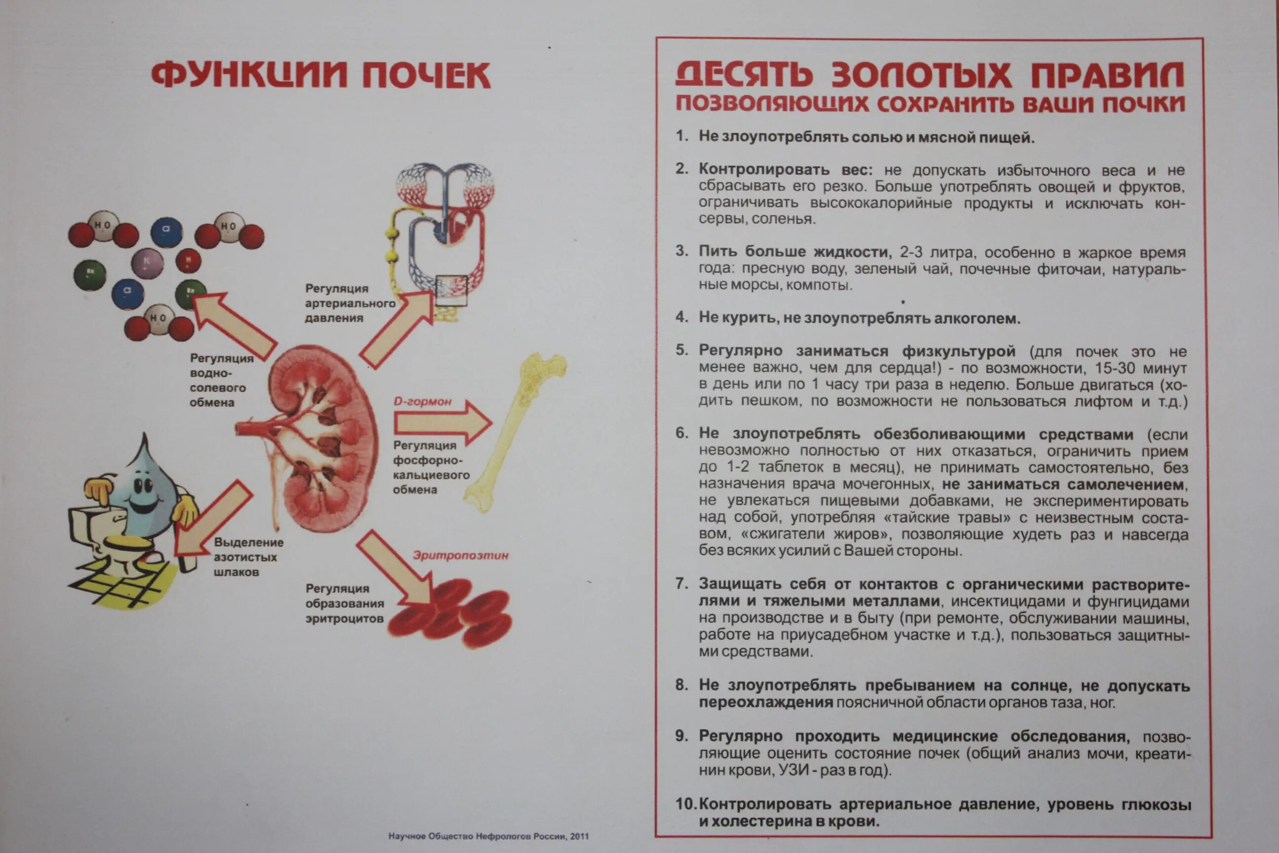 Профилактика заболеваний почек буклет. Памятка профилактика болезней почек. Памятка для больных ХПН. Памятка предупреждение заболеваний почек.