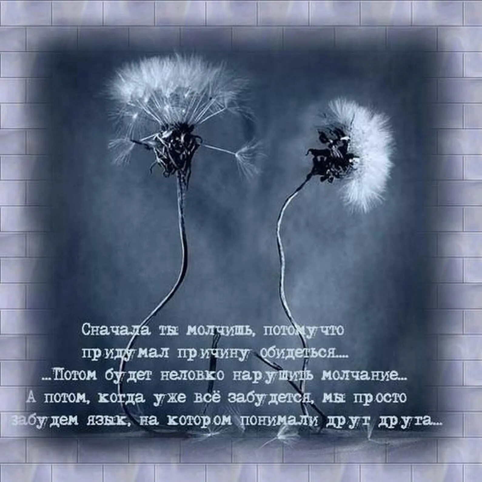 Что значит любят тихо