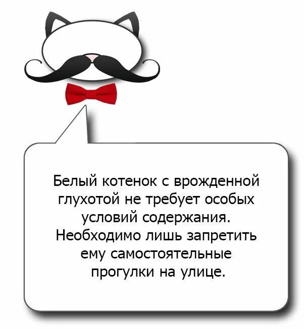 Кот сильно воняет. У кота пахнет изо рта причины. Советы от котика. Симптомы отравления котика. Запах изо рта у кота причины.