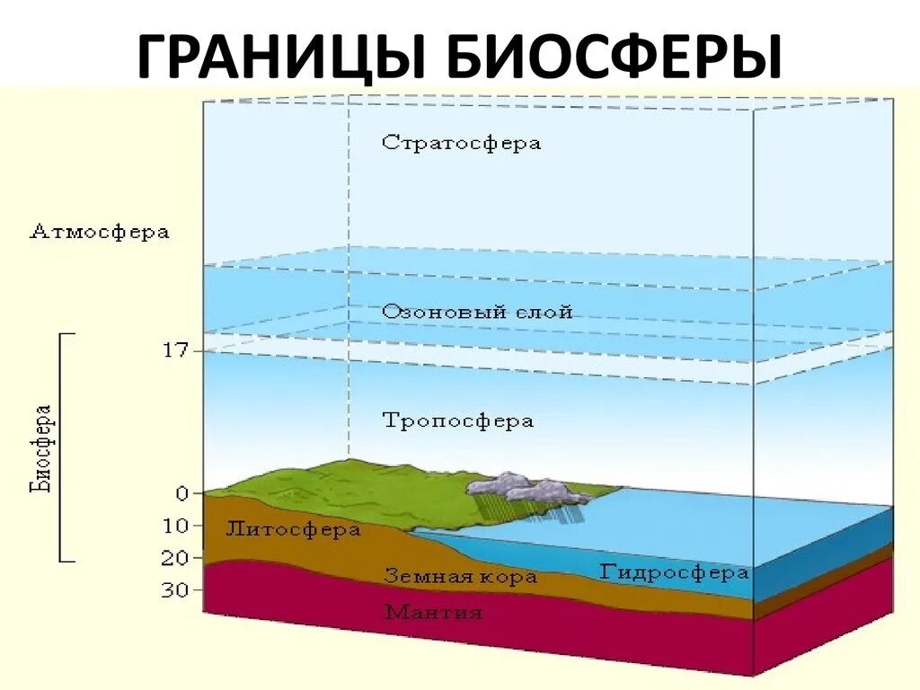 Воды нижняя граница. Оболочки земли Биосфера, атмосфера. Оболочки земли литосфера гидросфера атмосфера Биосфера. Границы биосферы схема 11 класс. Нарисовать схему границы биосферы.