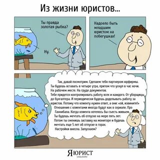 Анекдоты юриста